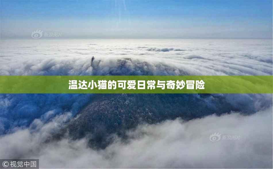 温达小猫的可爱日常与奇妙冒险