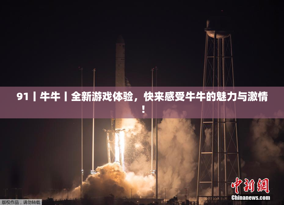 91丨牛牛丨全新游戏体验，快来感受牛牛的魅力与激情！