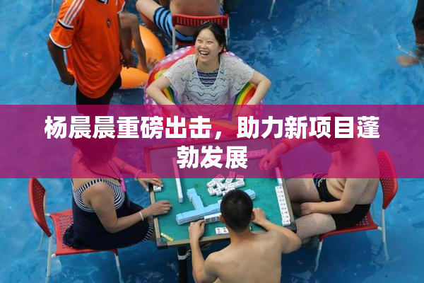 杨晨晨重磅出击，助力新项目蓬勃发展