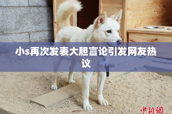 小s再次发表大胆言论引发网友热议