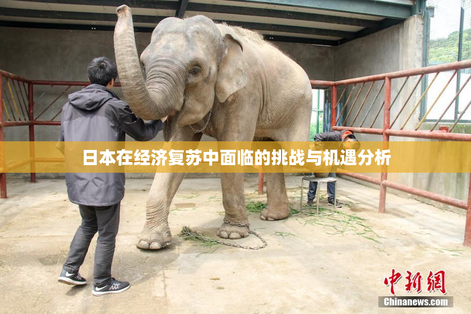 日本在经济复苏中面临的挑战与机遇分析