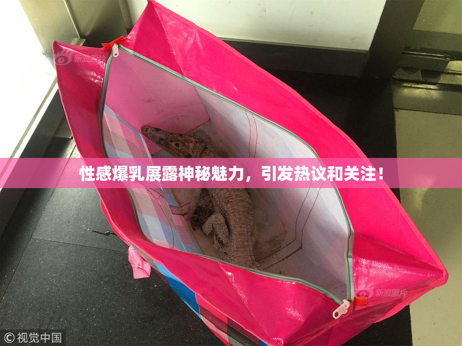性感爆乳展露神秘魅力，引发热议和关注！