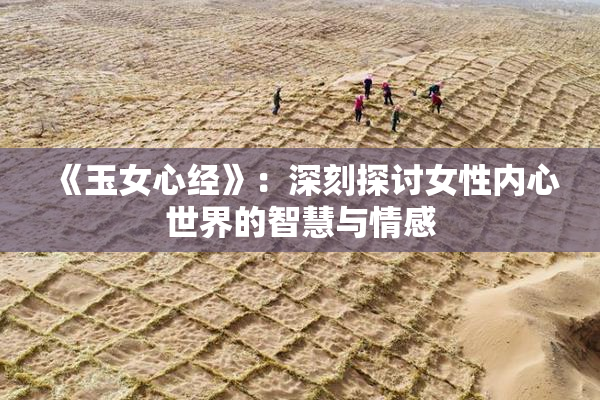 《玉女心经》：深刻探讨女性内心世界的智慧与情感