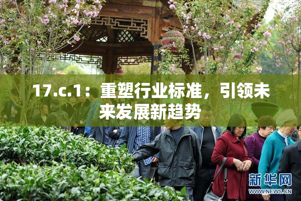 17.c.1：重塑行业标准，引领未来发展新趋势