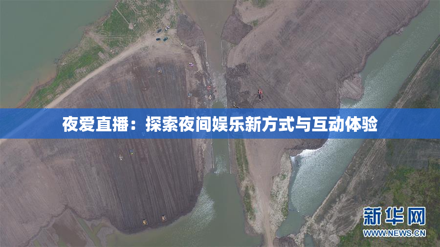 夜爱直播：探索夜间娱乐新方式与互动体验