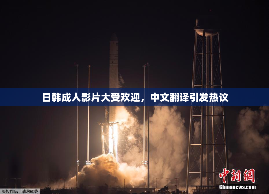 日韩成人影片大受欢迎，中文翻译引发热议