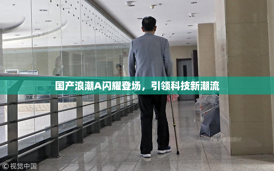 国产浪潮A闪耀登场，引领科技新潮流
