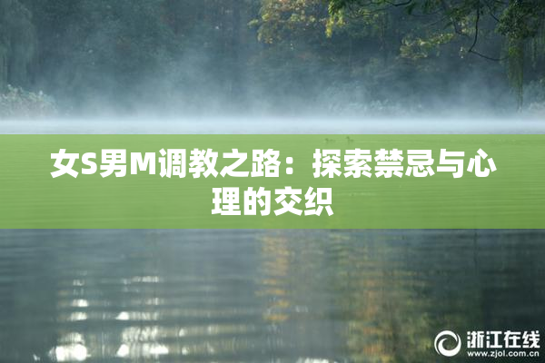 女S男M调教之路：探索禁忌与心理的交织