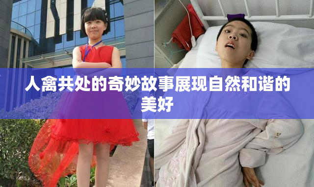人禽共处的奇妙故事展现自然和谐的美好