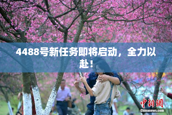 4488号新任务即将启动，全力以赴！