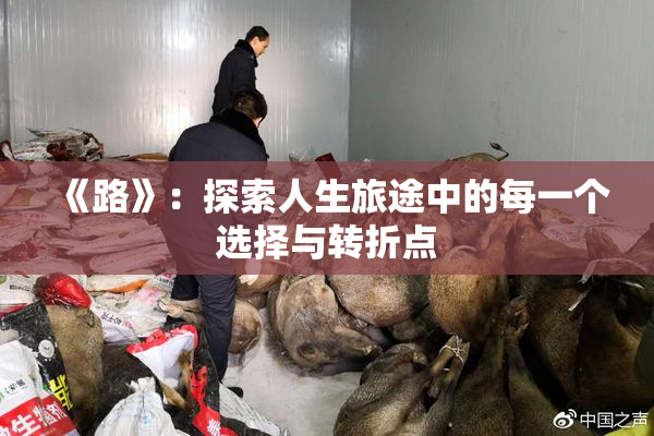 《路》：探索人生旅途中的每一个选择与转折点