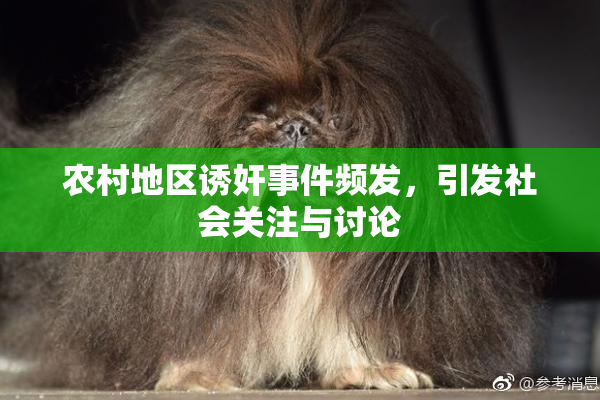 农村地区诱奸事件频发，引发社会关注与讨论