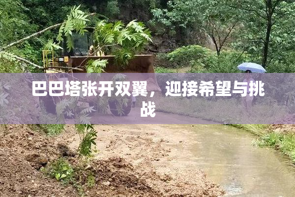 巴巴塔张开双翼，迎接希望与挑战
