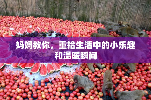 妈妈教你，重拾生活中的小乐趣和温暖瞬间