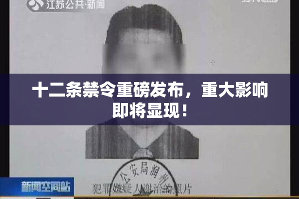 十二条禁令重磅发布，重大影响即将显现！