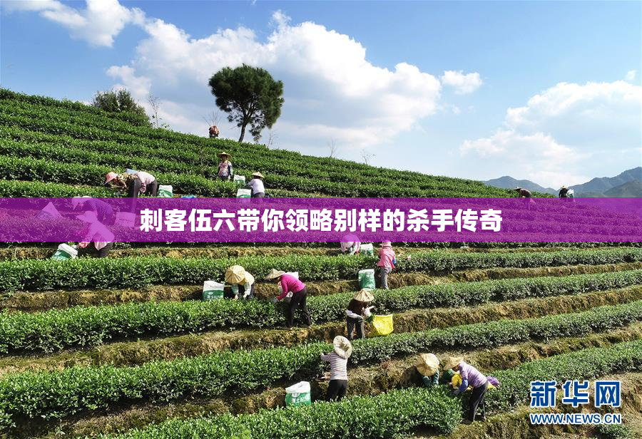 刺客伍六带你领略别样的杀手传奇