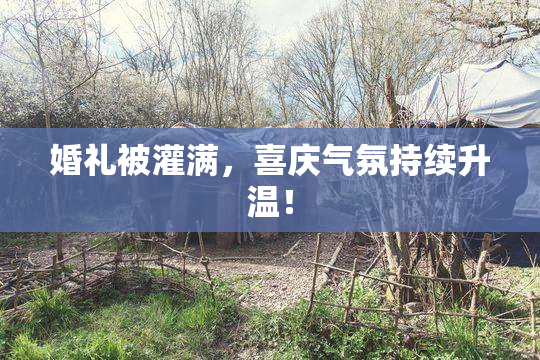 婚礼被灌满，喜庆气氛持续升温！