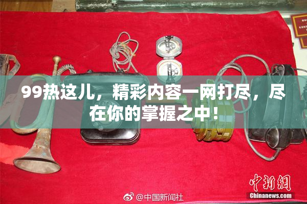 99热这儿，精彩内容一网打尽，尽在你的掌握之中！