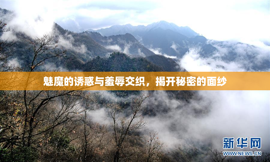 魅魔的诱惑与羞辱交织，揭开秘密的面纱