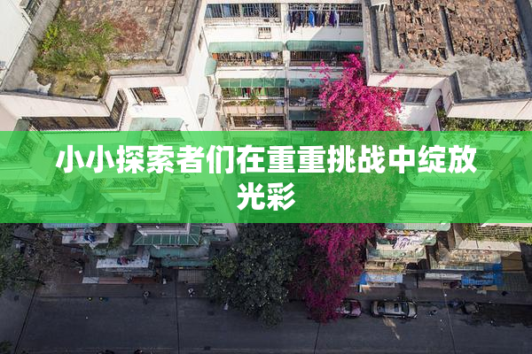 小小探索者们在重重挑战中绽放光彩
