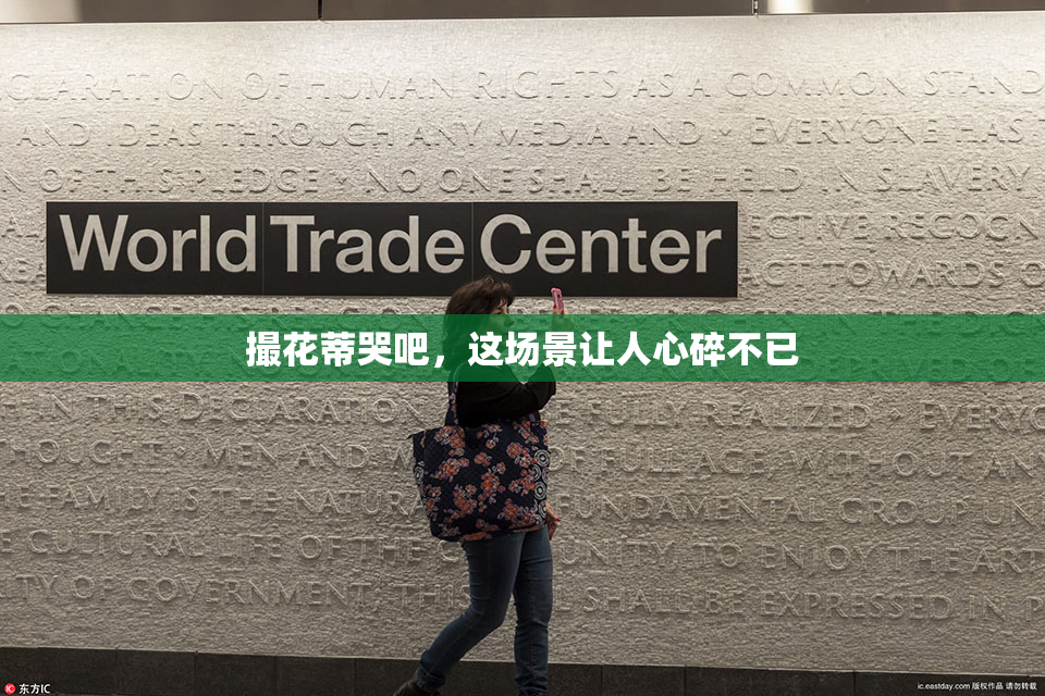 撮花蒂哭吧，这场景让人心碎不已