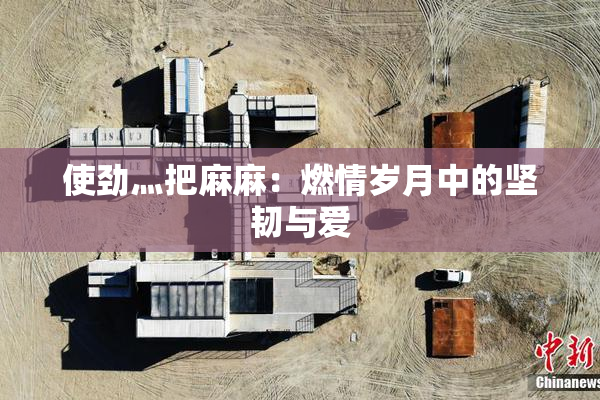 使劲灬把麻麻：燃情岁月中的坚韧与爱