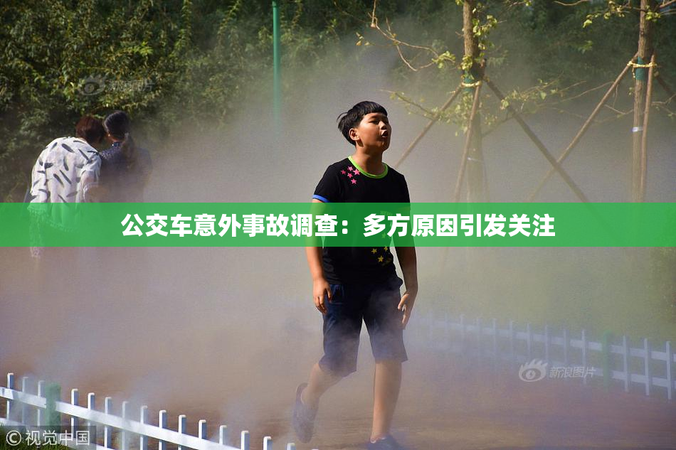 公交车意外事故调查：多方原因引发关注