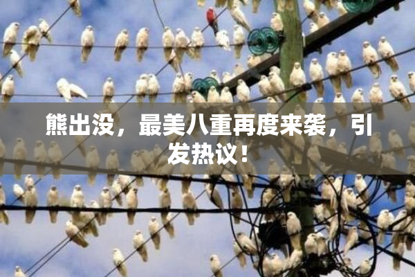 熊出没，最美八重再度来袭，引发热议！
