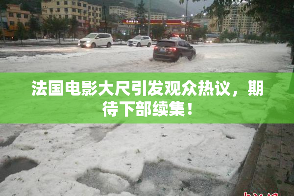 法国电影大尺引发观众热议，期待下部续集！