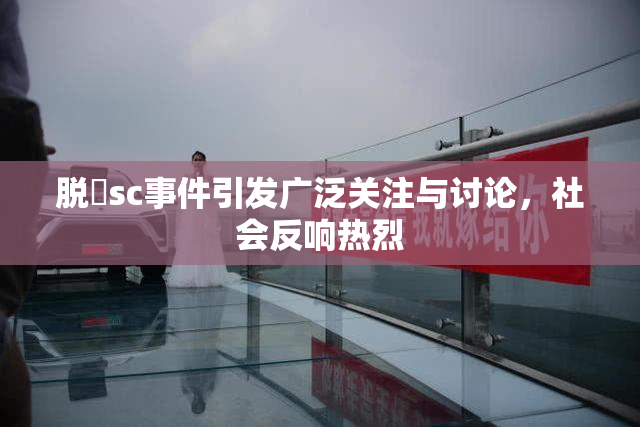 脱糞sc事件引发广泛关注与讨论，社会反响热烈
