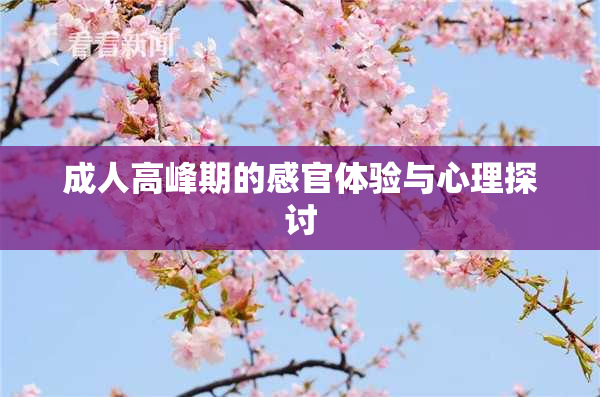 成人高峰期的感官体验与心理探讨
