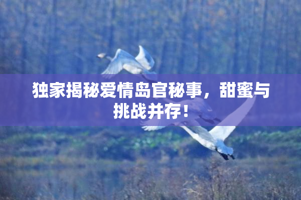 独家揭秘爱情岛官秘事，甜蜜与挑战并存！