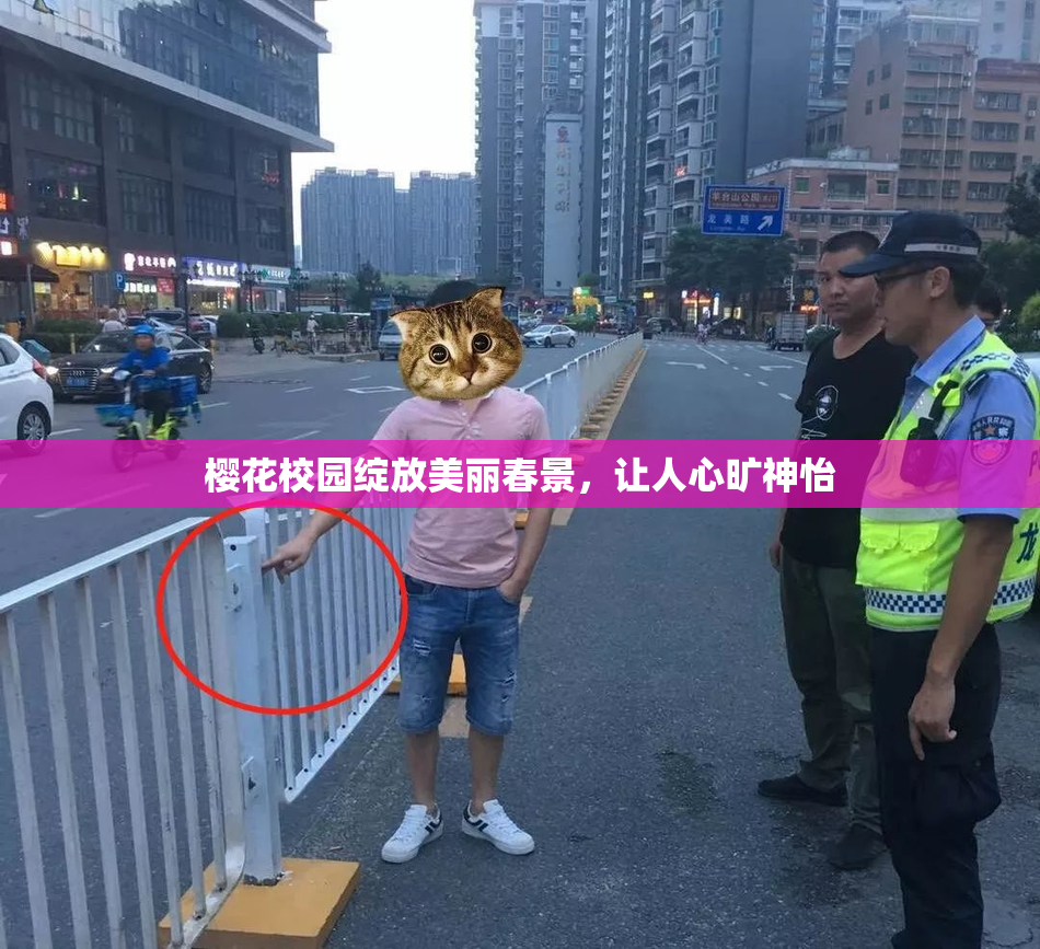 樱花校园绽放美丽春景，让人心旷神怡