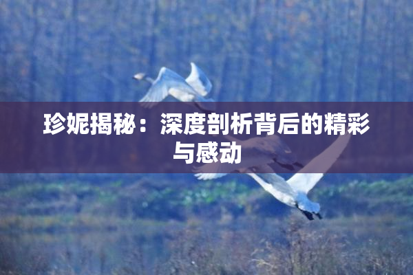 珍妮揭秘：深度剖析背后的精彩与感动