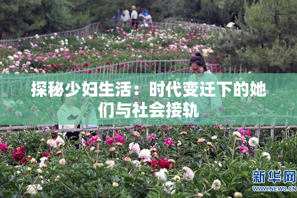 探秘少妇生活：时代变迁下的她们与社会接轨