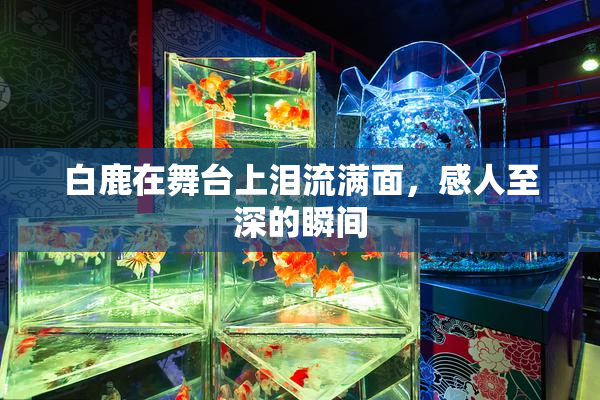 白鹿在舞台上泪流满面，感人至深的瞬间