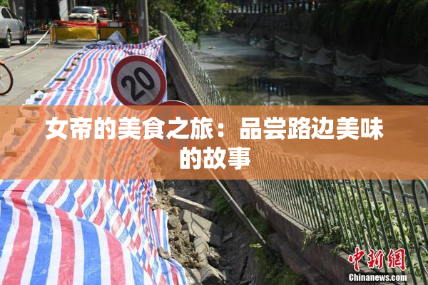 女帝的美食之旅：品尝路边美味的故事