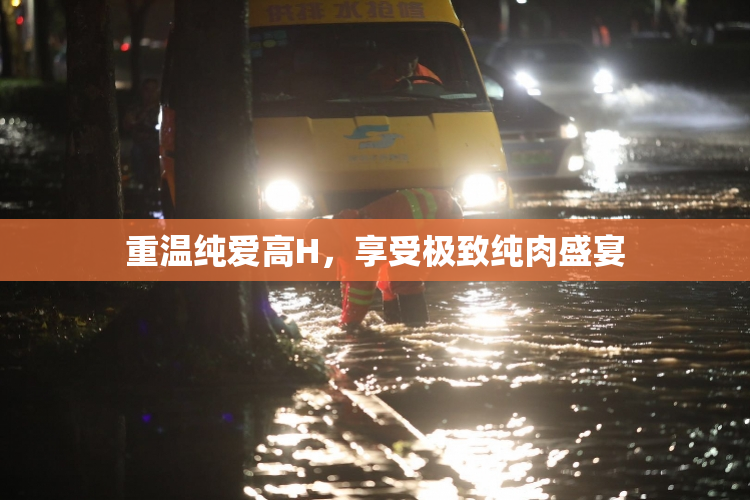 重温纯爱高H，享受极致纯肉盛宴
