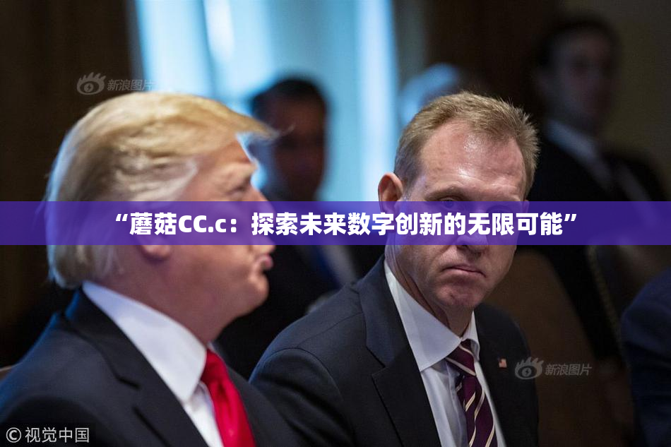 “蘑菇CC.c：探索未来数字创新的无限可能”