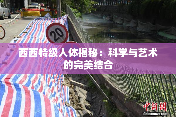 西西特级人体揭秘：科学与艺术的完美结合