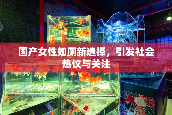 国产女性如厕新选择，引发社会热议与关注