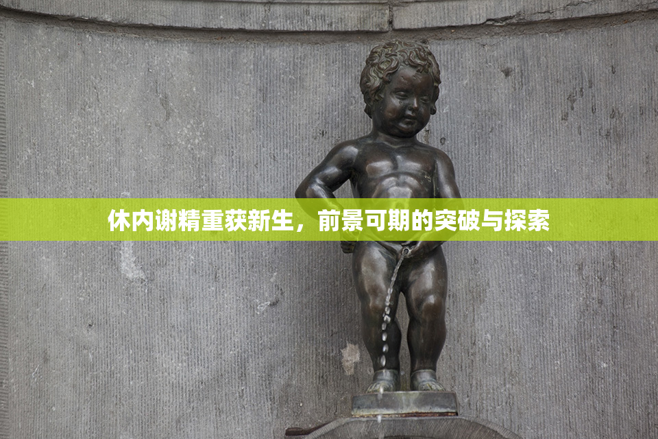 休内谢精重获新生，前景可期的突破与探索
