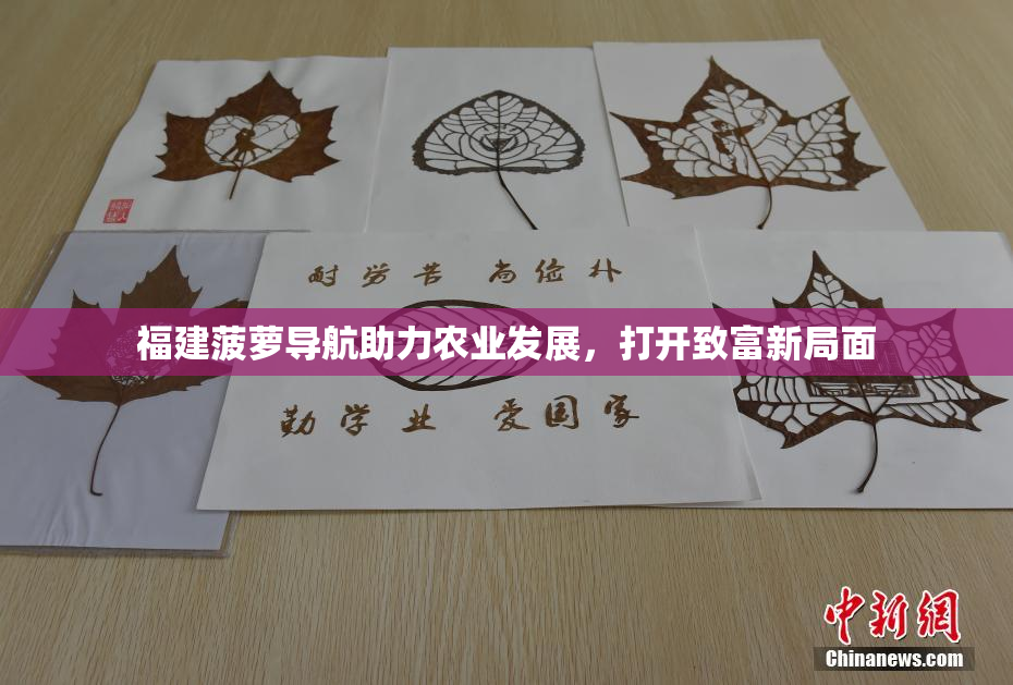 福建菠萝导航助力农业发展，打开致富新局面