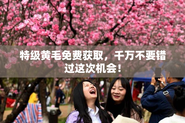 特级黄毛免费获取，千万不要错过这次机会！