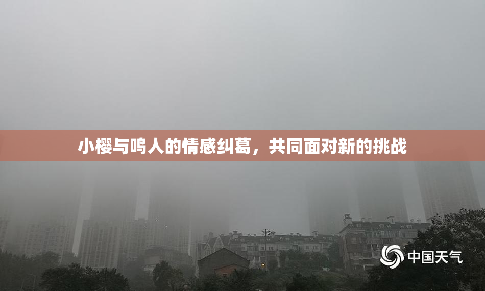 小樱与鸣人的情感纠葛，共同面对新的挑战