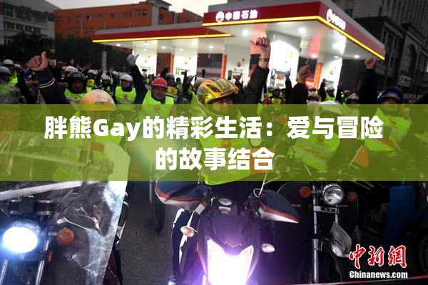 胖熊Gay的精彩生活：爱与冒险的故事结合
