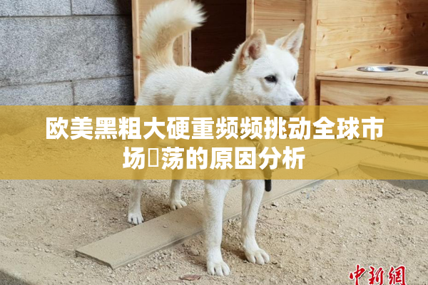 欧美黑粗大硬重频频挑动全球市场動荡的原因分析