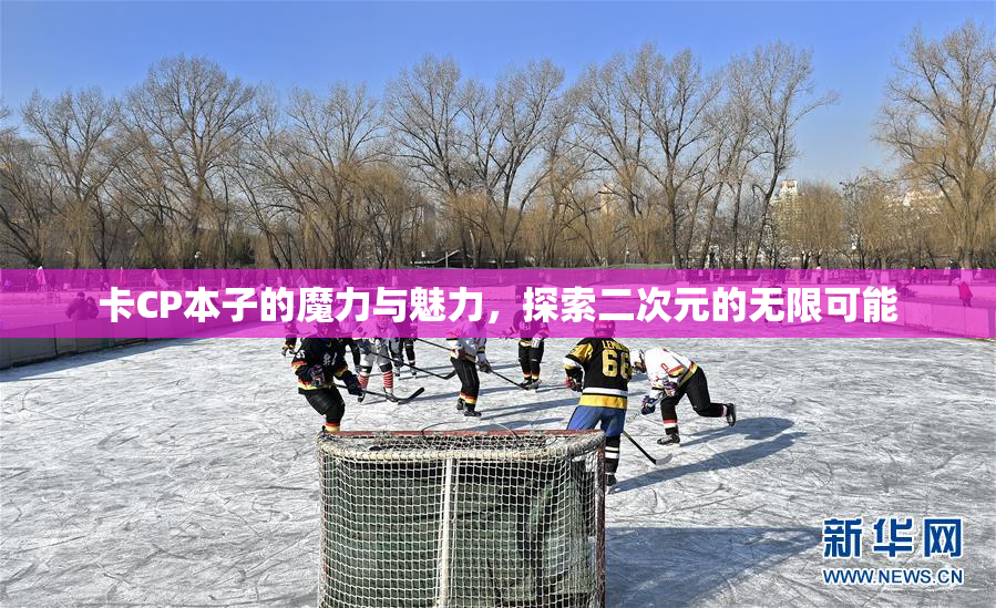 卡CP本子的魔力与魅力，探索二次元的无限可能