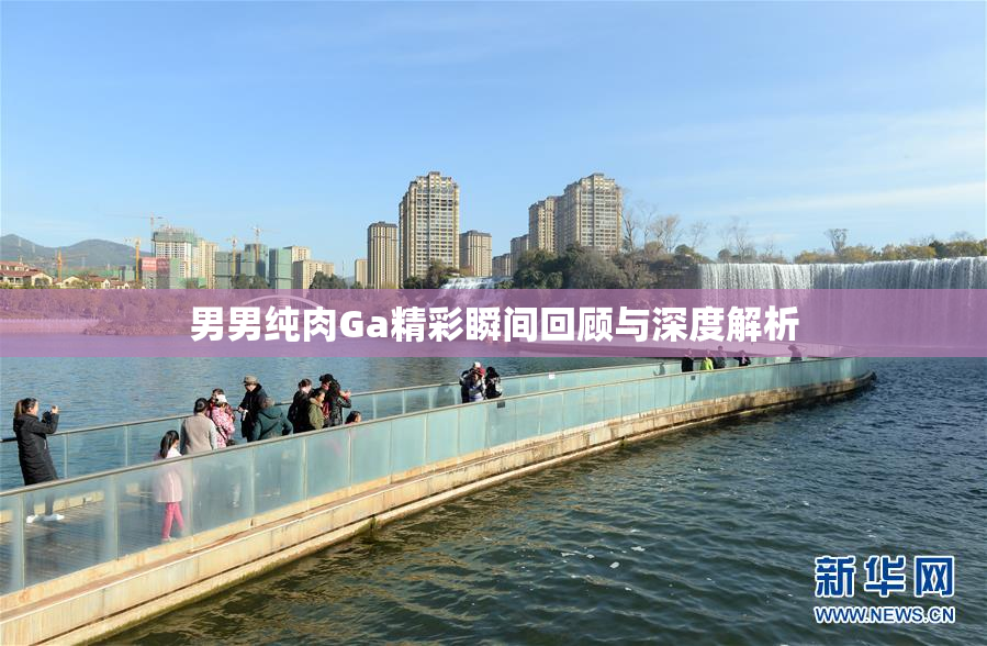 男男纯肉Ga精彩瞬间回顾与深度解析