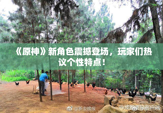 《原神》新角色震撼登场，玩家们热议个性特点！